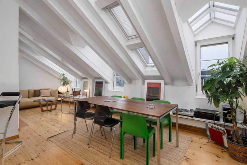 Dach-Maisonette im Englischviertel inkl. Gewerbeanteil (1)