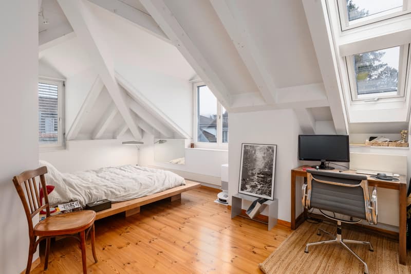 Dach-Maisonette im Englischviertel inkl. Gewerbeanteil (6)
