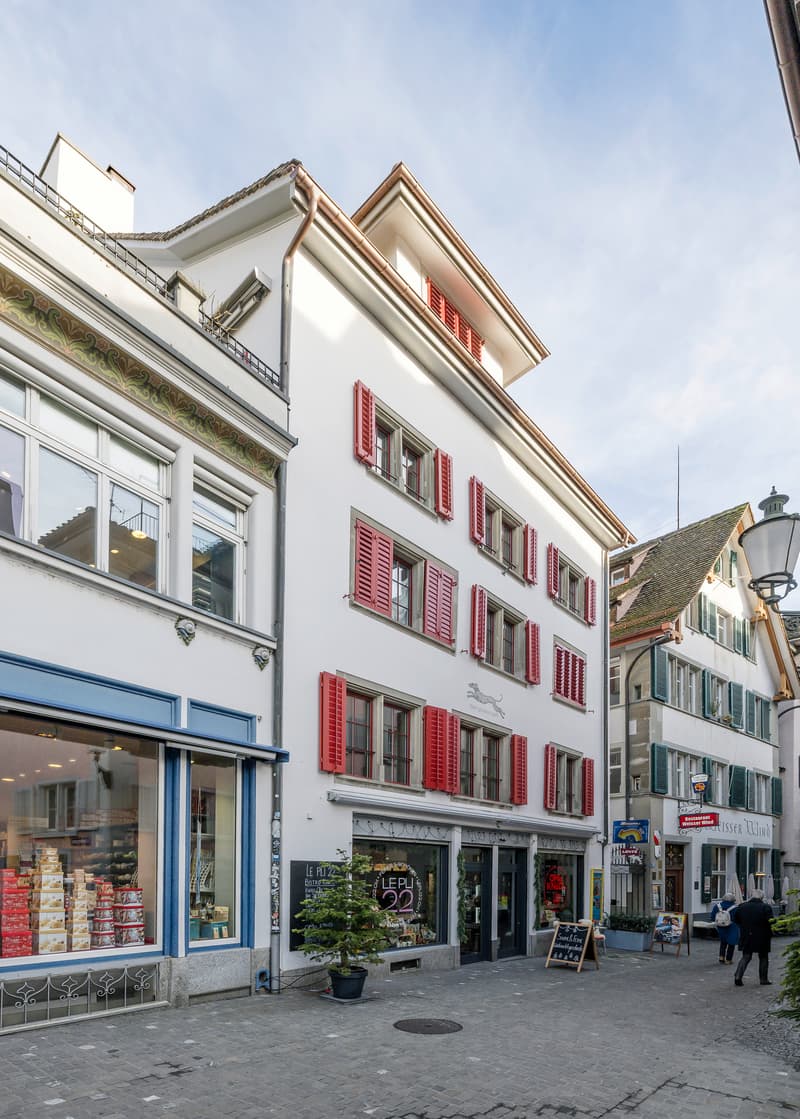 Tradition trifft Moderne im Herzen von Zürich (5)