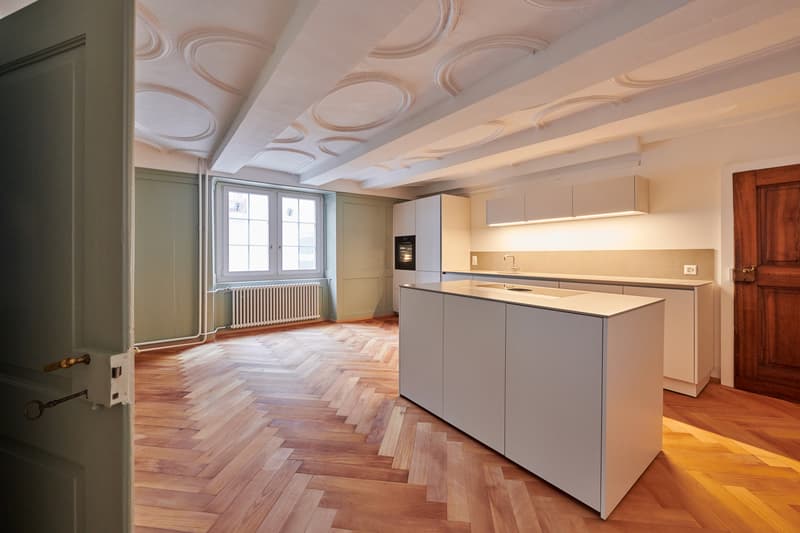 Tradition trifft Moderne im Herzen von Zürich (2)