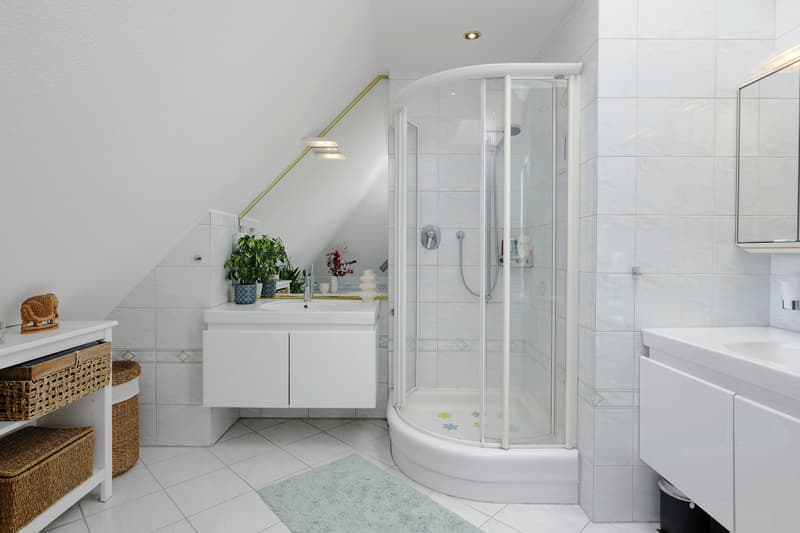 Dachwohnung mit zwei Terrassen am Rigiplatz (5)
