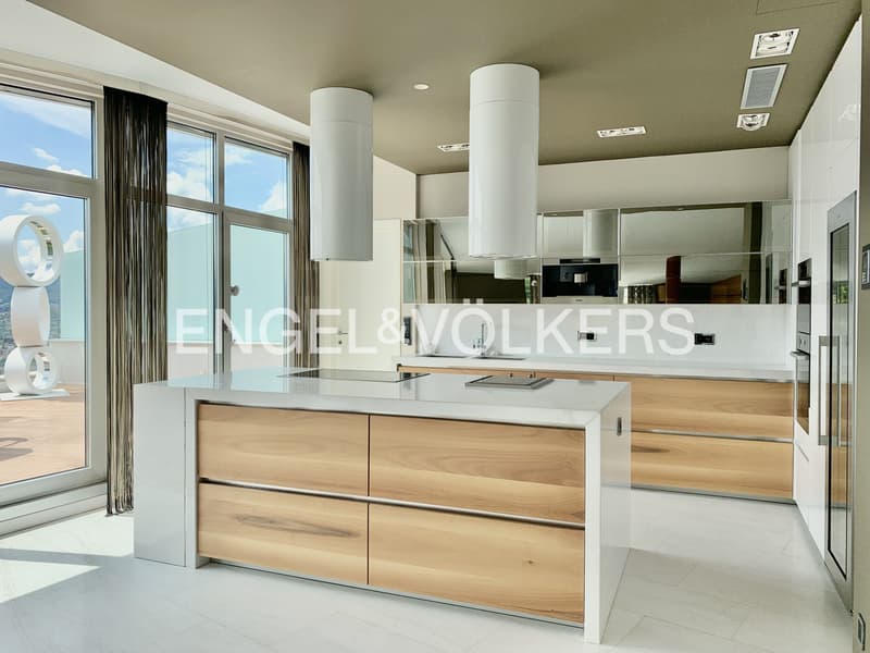Herrliche Terrassenwohnung mit Panoramablick (5)