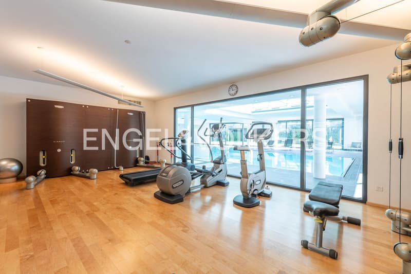 Design-Penthouse mit 180 Panoramablick auf den See (13)