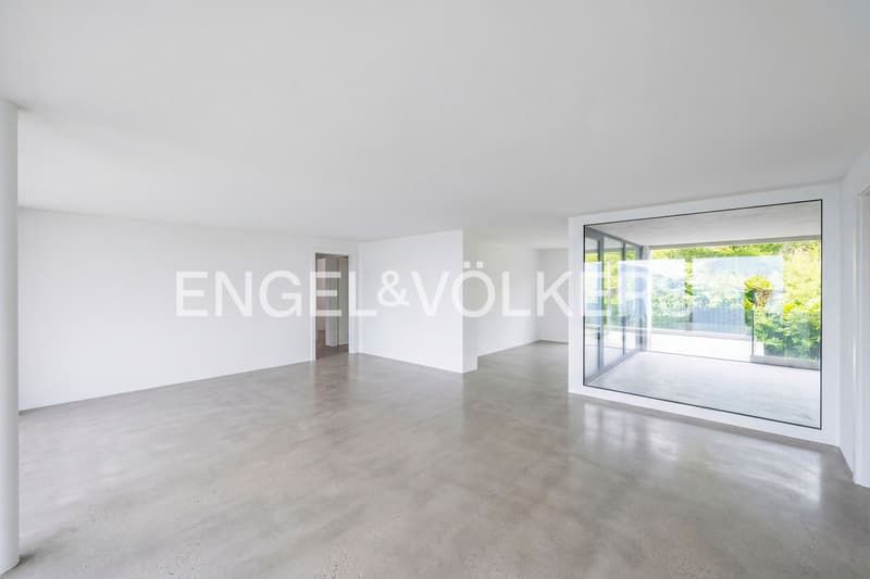Moderno appartamento con incantevole vista lago (4)