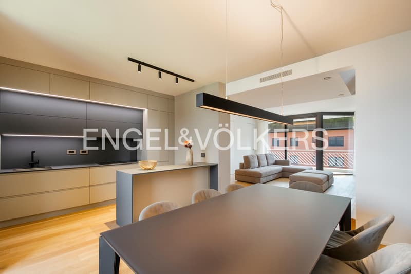 Sophistiziertes Duplex mit Dachterrasse (8)