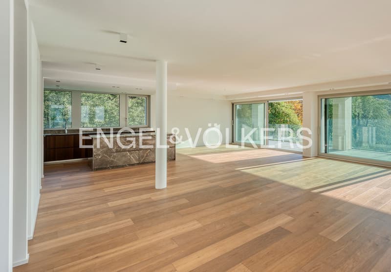 Prestigiosa residenza fronte lago (3)