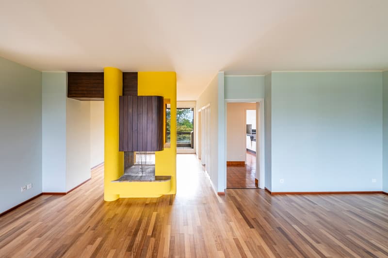 Appartamento rinnovato con grande terrazza (3)