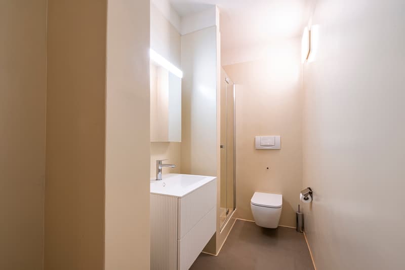 Appartamento rinnovato con grande terrazza (10)