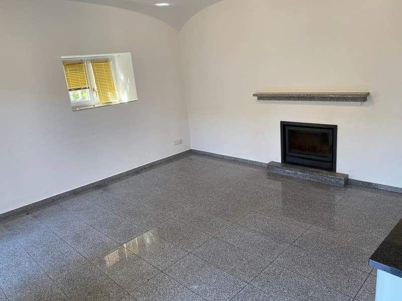 Stupendo 2.5 con giardino privato (2)