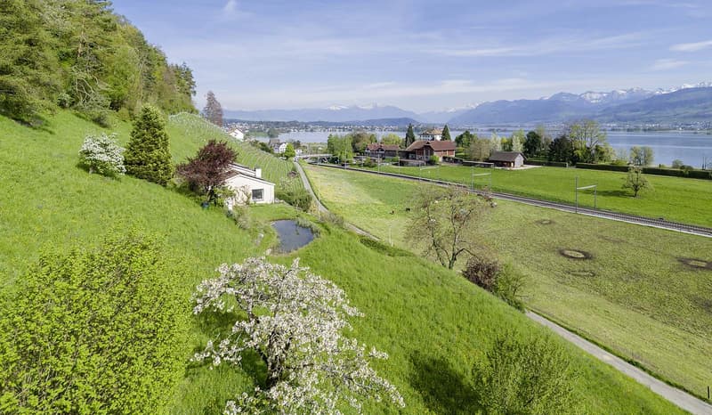 Panorama & Privacy: Einmaliges Anwesen am Zürichsee (1)