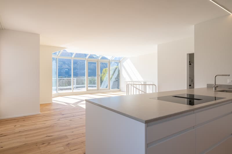 Exklusive Attika-Maisonette mit unvergleichlichem Panorama (5)