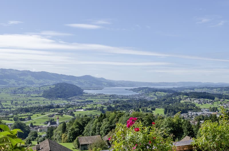 Neubau Einfamilienhaus mit atemberaubendem Panorama (4)