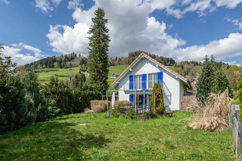 Sonniges Zuhause mit Raum für neue Ideen (7)