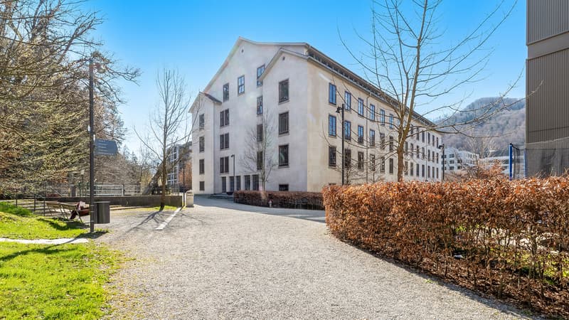 "DAS /IHR" Loft der Superlative - Authentisch im historischem Gewand (5)