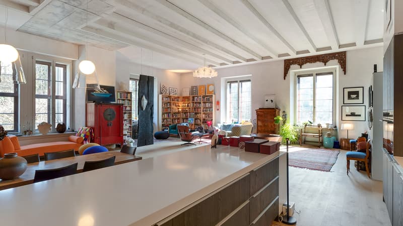 "DAS /IHR" Loft der Superlative - Authentisch im historischem Gewand (11)
