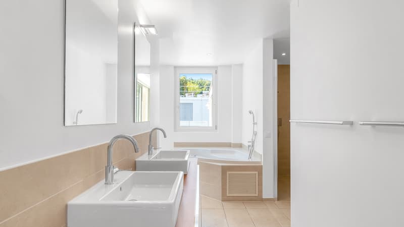 Attikatraum mit über 100qm Terrassenflächen (9)