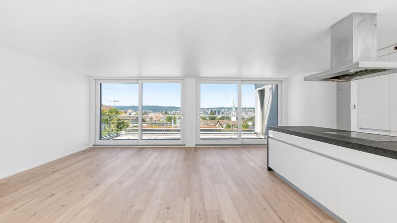 Attikatraum mit über 100qm Terrassenflächen (3)
