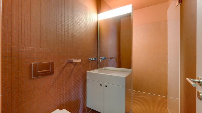 The Zurich Loft - Design. Stil. Beste Lage. (10)