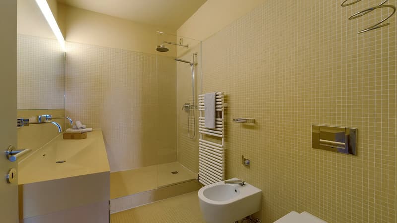 The Zurich Loft - Design. Stil. Beste Lage. (9)