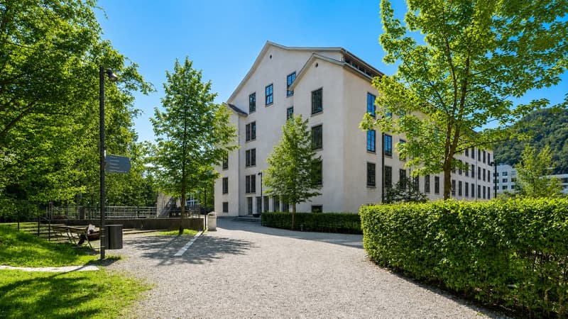 Einzigartiger Familientraum: 4,5 Zimmer auf höchstem Niveau (1)