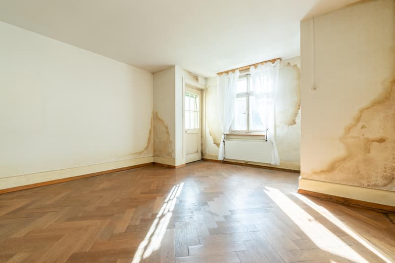 Doppelhaus mit Entwicklungspotenzial (5)