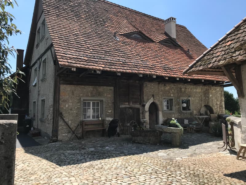 Einmaliges Anwesen in Niederbipp (1)