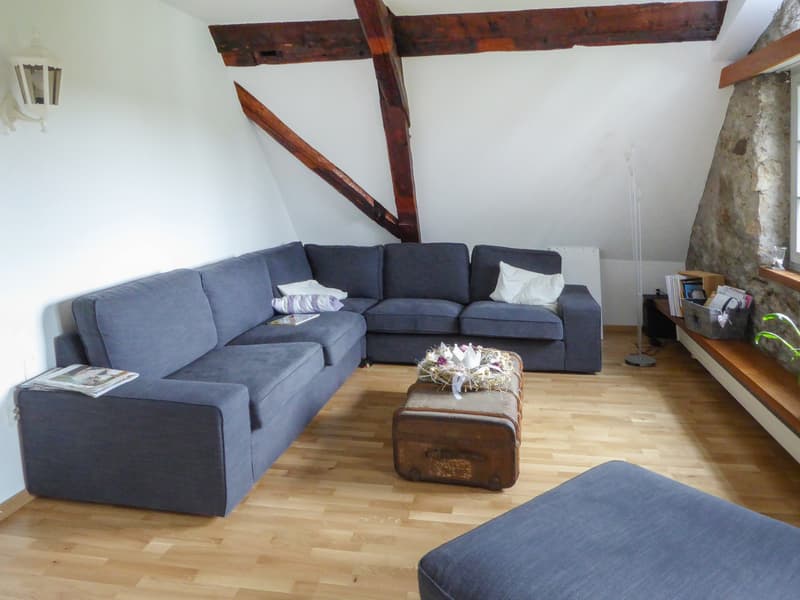 Einmaliges Anwesen in Niederbipp (3)