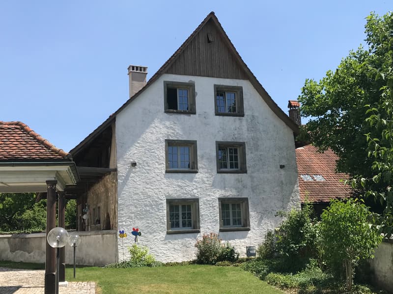 Einmaliges Anwesen in Niederbipp (2)