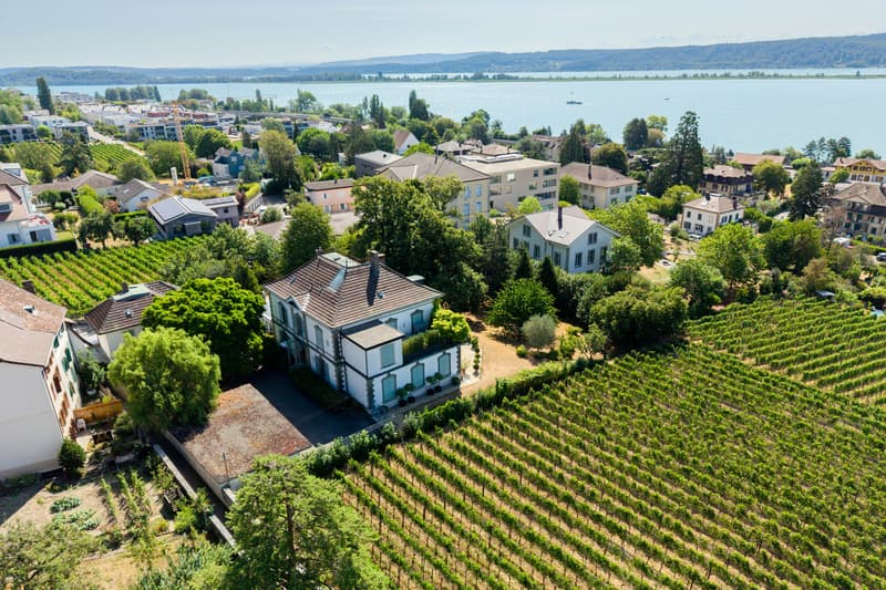 Coming Soon - Villa im Park in Seenähe (5)