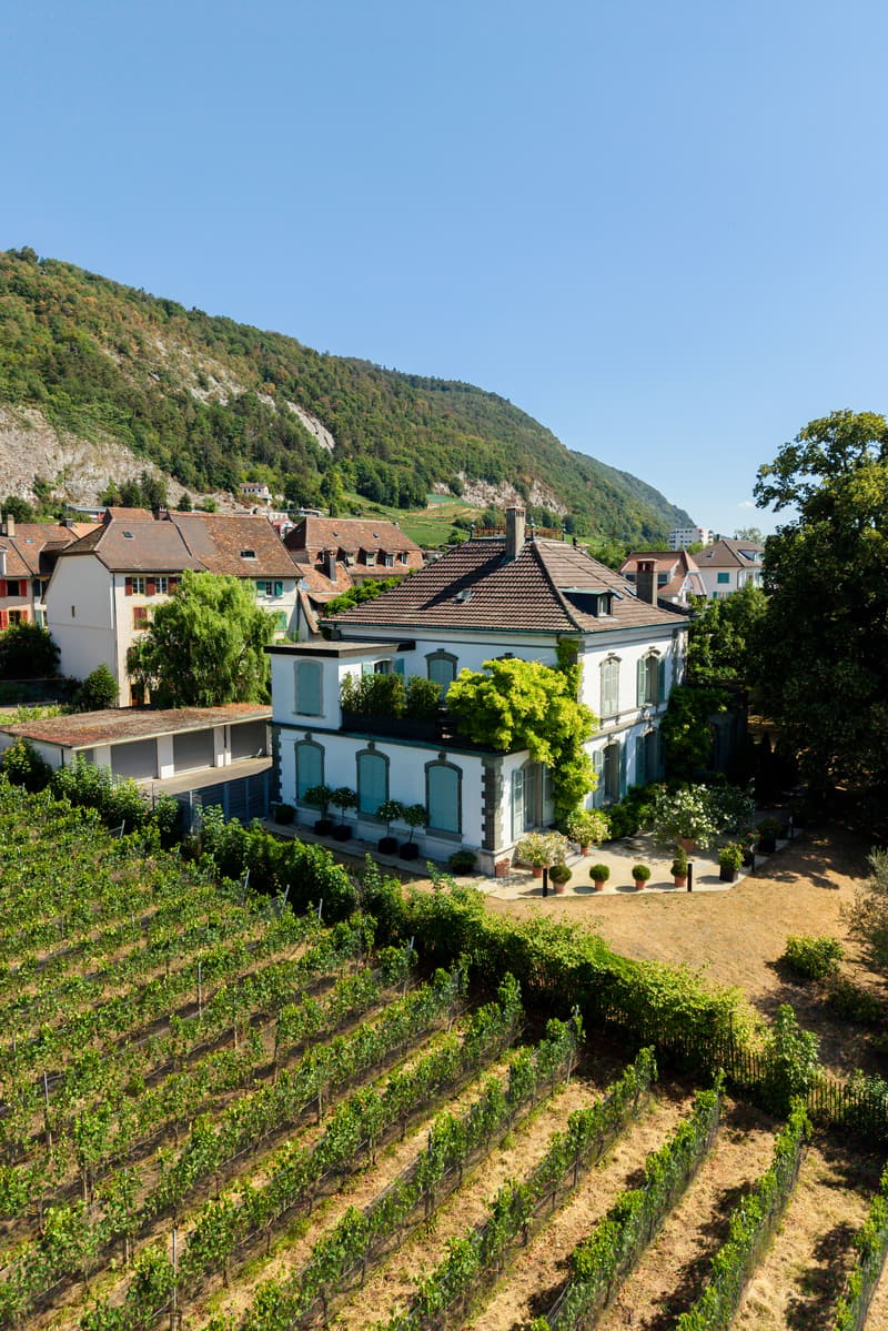 Coming Soon - Villa im Park in Seenähe (2)