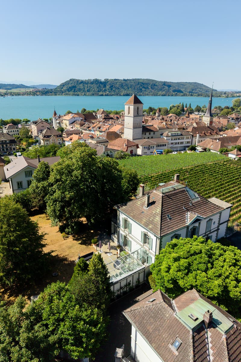 Coming Soon - Villa im Park in Seenähe (1)