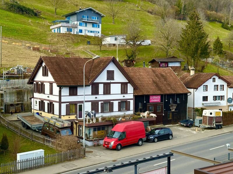 9464 Rüthi (Rheintal)