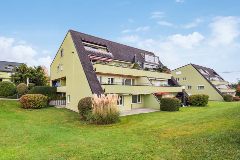 Sanierte 5.5-Zimmer-Wohnung im Grünen in Thalwil (1)