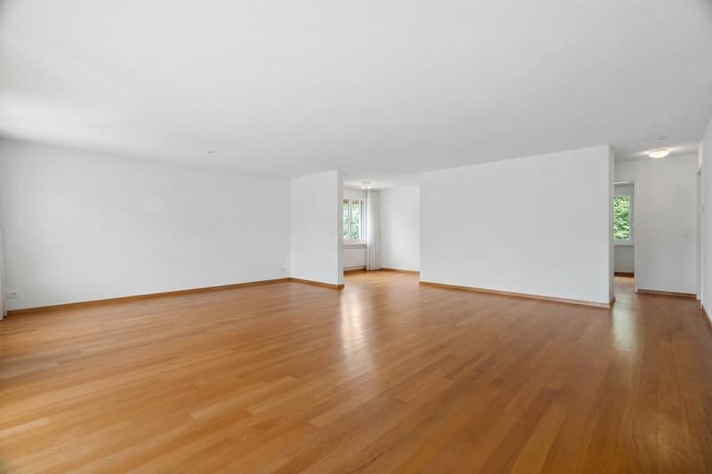 Flexible Wohnung mit viel Potenzial und an ruhiger Lage in Uitikon (2)
