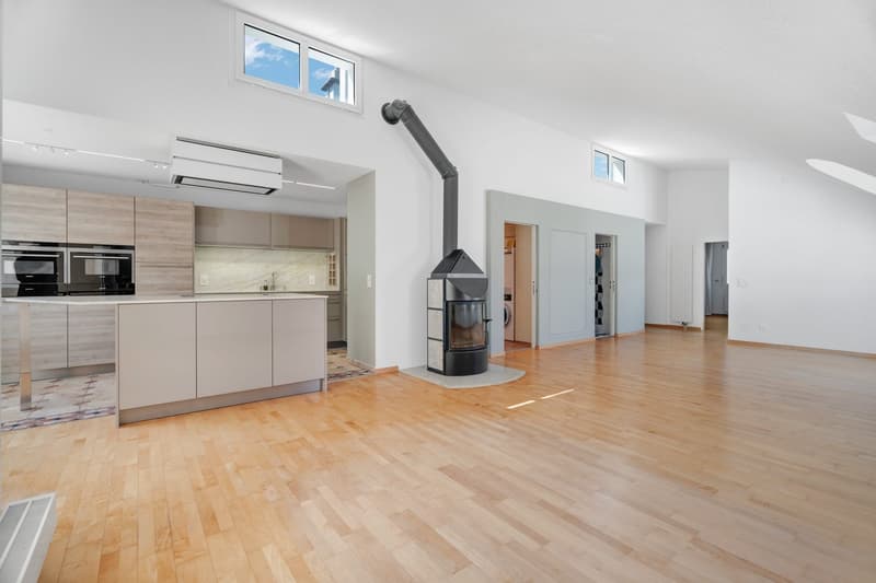 Individuelle und lichtdurchflutete 3.5-Zimmer-Dachwohnung mit Weitsicht (1)
