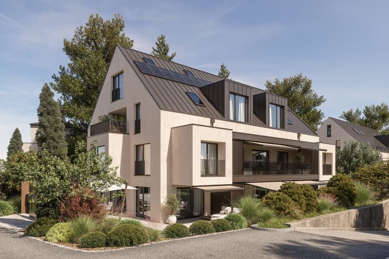 Neubau N10: 3.5 Zimmer Maisonette Wohnung (2)