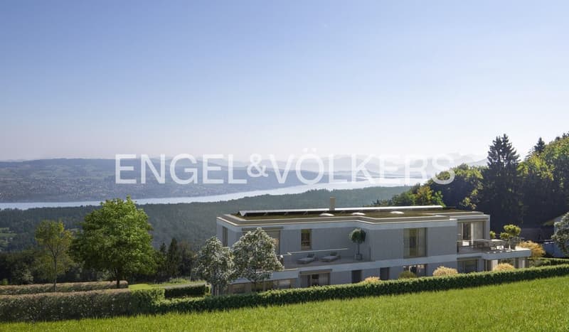 Exklusive 2.5-Zimmer-Wohnung mit Panoramablick auf Zürichsee, Alpen un (4)