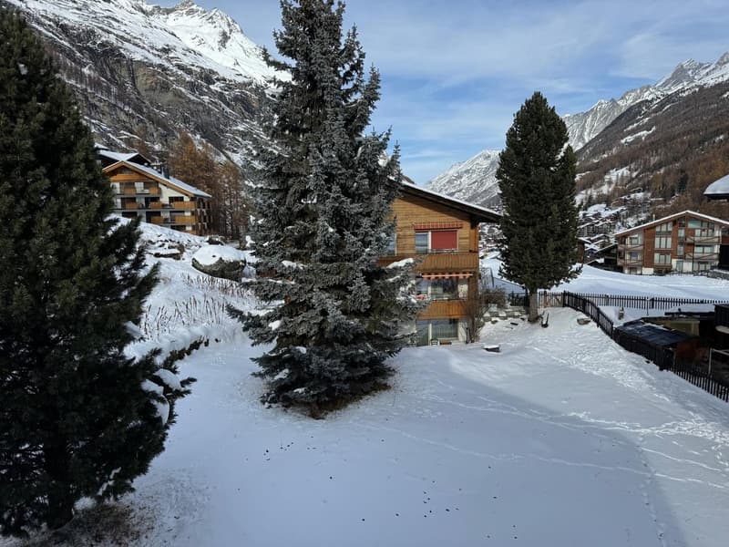Maison multifamiliale avec grand potentiel dans une idylle verte et Matterhorn (4)
