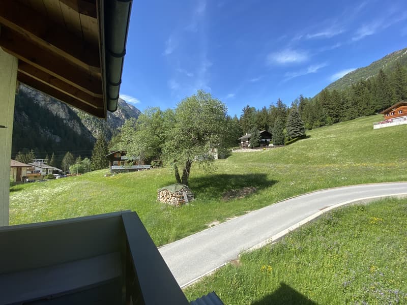 Delightful 3.5-room apartment with a view of the Breithorn (7)