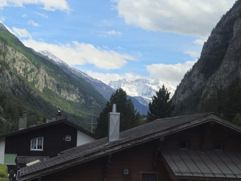 Delightful 3.5-room apartment with a view of the Breithorn (13)