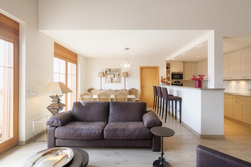 Attractive Penthouse Maisonette Apartment (6)