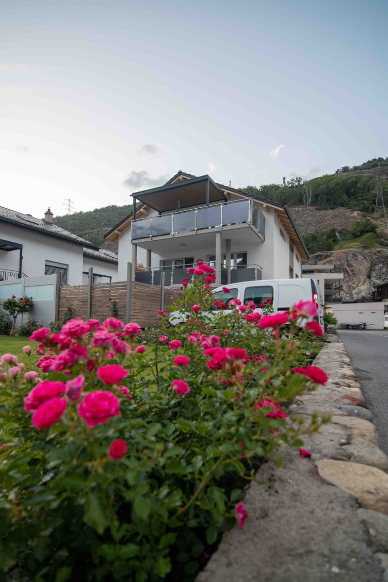 Komplett renoviertes Mehrfamilienhaus mit 3 Wohneinheiten, Garage und (2)