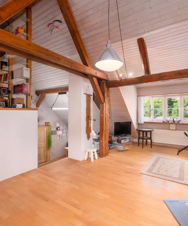 Casa Riegel storica con paradiso giardino (3)