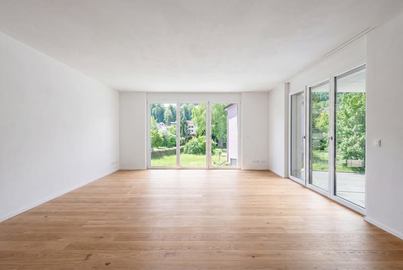 Hochwertige 4.5-Zimmer-Neubauwohnung (3)