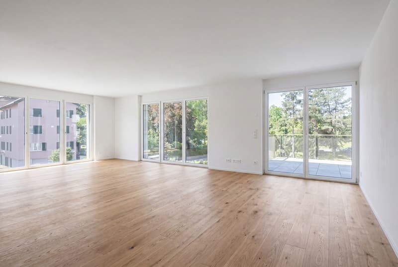Hochwertige 4.5-Zimmer-Neubauwohnung (2)