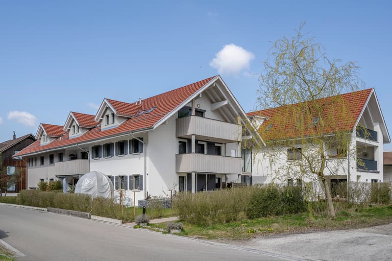 Grosszügig wohnen - zentral und modern (6)