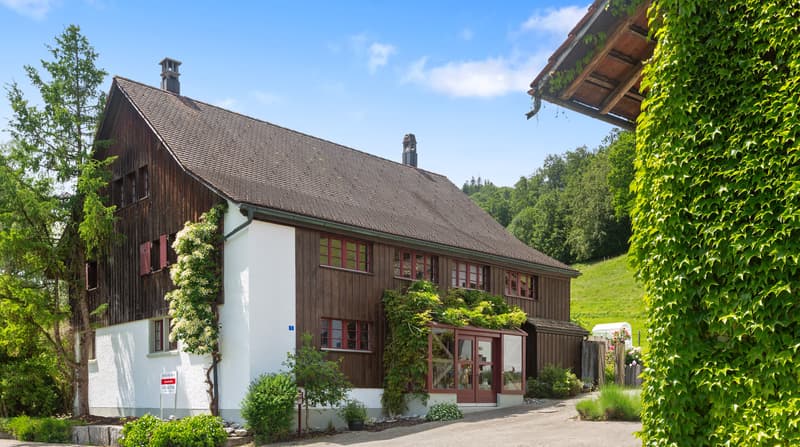 Ein einzigartiger Familientraum (7)