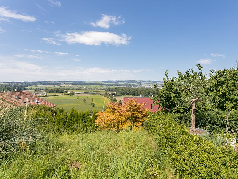Panorama Sunset | Einfamilienhaus (11)