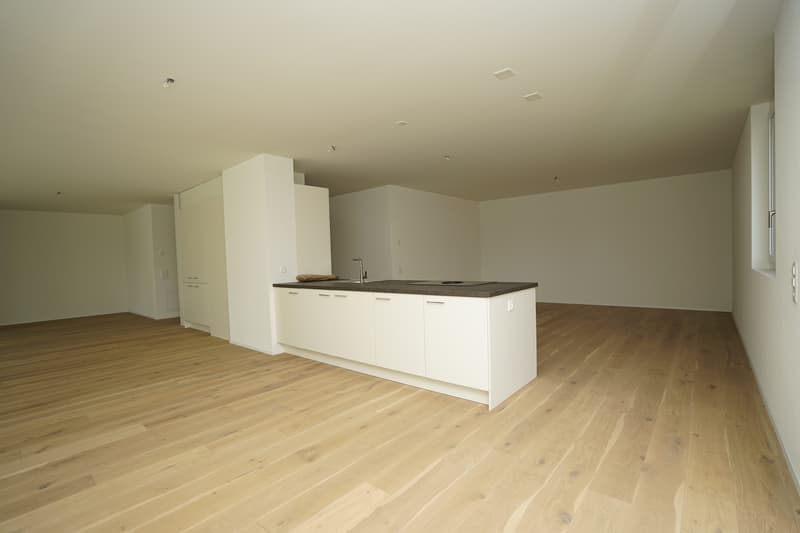 Grosszügige, moderne Loftwohnung - Stilvolles Wohnen auf 92m² (3)