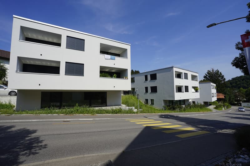 Grosszügige, moderne Loftwohnung - Stilvolles Wohnen auf 92m² (1)